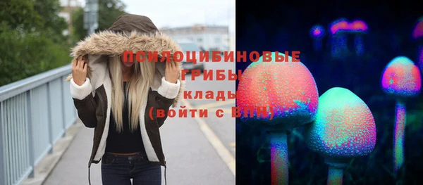 СК Остров