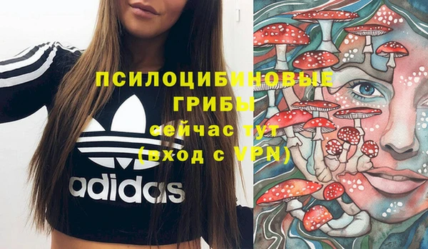 2c-b Алексеевка