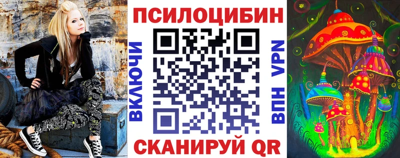 Псилоцибиновые грибы Cubensis Коркино
